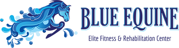Blue Equine Elite Fitness & Rehabilitation Center