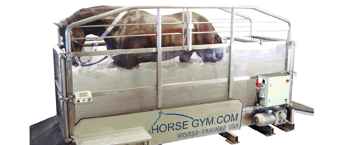 Water Treadmill in Pass Christian, MS Blue Equine Elite Fitness & Rehabilitation Center